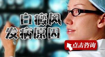 Ƥ������Щ��λ�����׻��ϰ���